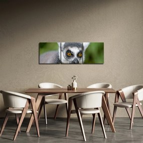 Obraz lemura (z zegarem) (90x30 cm)