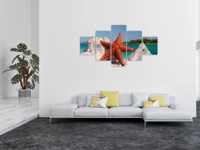Obraz rozgwiazdy (125x70 cm)