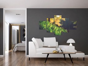 Obraz mchu z grzybem (125x70 cm)
