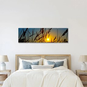 Obraz - Zachód słońca na łące (170x50 cm)