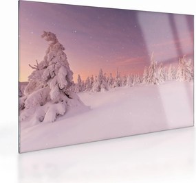 Obraz na szkle - Drzewa pod warstwą śniegu (70x50 cm)