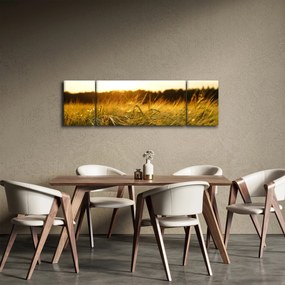 Obraz zroszonej trawy (170x50 cm)