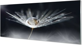 Panel nad Blat Kuchenny Mikroświat na Dmuchawcu