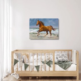 Obraz na szkle konia na plaży (70x50 cm)