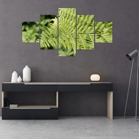 Obraz - Liść paproci (125x70 cm)