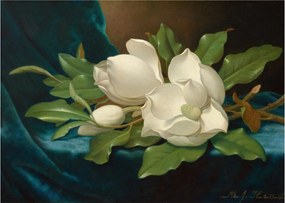 Obraz na szkle - Martin Johnson Heade, Giant Magnolias on a Blue Velvet Cloth, reprodukcje (70x50 cm)