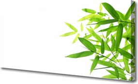 Obraz canvas na ścianę Tekstura Zielonego Liścia