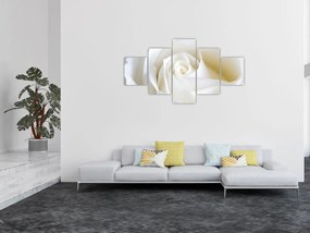 Obraz białej róży (125x70 cm)