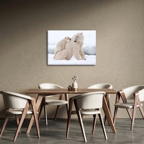 Obraz - Niedźwiedzie polarne (70x50 cm)