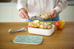 Plastikowy lunchbox, 19 x 12,5 x 6,5 cm