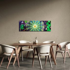 Obraz kaktusa (z zegarem) (90x30 cm)