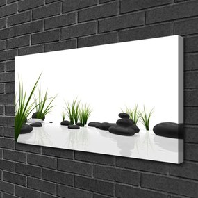 Zdjęcie na płótnie Kamienie w Soczystej Trawie