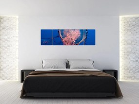 Obraz meduzy (170x50 cm)