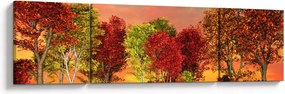 Obraz - Kolorowe drzewa (170x50 cm)
