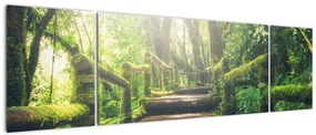 Obraz - drewniane schody w lesie (170x50 cm)