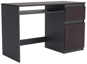Biurko komputerowe młodzieżowe szkolne 120 cm REMI1 Antracyt/Wenge