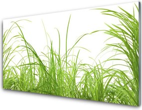 Panel Szklany do Kuchni Świeżość Letniej Trawy