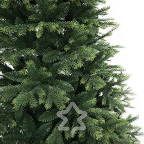 Świerk himalajski 150 cm