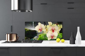 Panel Kuchenny Słońce Przebijające Przez Korony