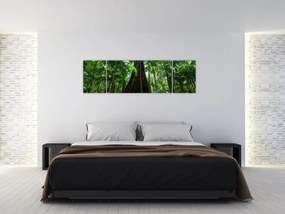 Obraz - Korzenie drzewa (170x50 cm)