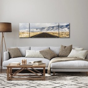 Obraz - Great Basin, Nevada, USA (170x50 cm)