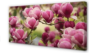 Zdjęcie na płótnie Kwitnące Drzewa