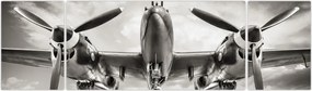 Obraz - Warbird (170x50 cm)