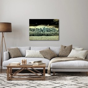 Obraz akwenu wodnego (70x50 cm)