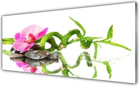 Panel Szklany Orientalna Kompozycja Spa