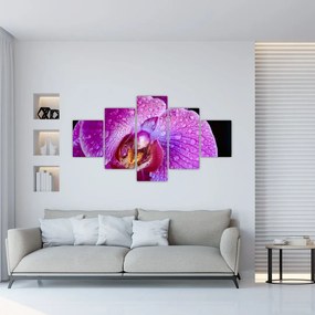 Zbliżenie kwiatu orchidei (125x70 cm)