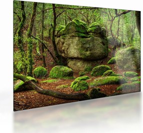 Obraz na szkle - magiczny las (70x50 cm)