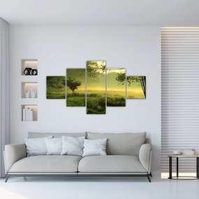 Obraz - Budzący się las (125x70 cm)
