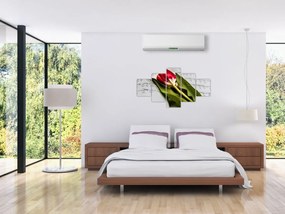 Obraz czerwonego tulipana (125x70 cm)