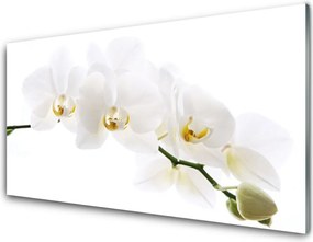 Szkło Ozdobne do Kuchni Egzotyczna Elegancja Orchidei