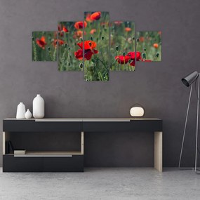 Obraz - Łąka z makami (125x70 cm)