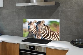 Szklany Panel Rodzina Zebr na Sawannie