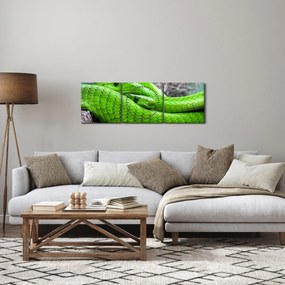 Obraz zielonych węży (z zegarem) (90x30 cm)