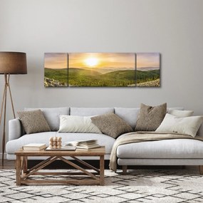 Obraz panoramiczny (170x50 cm)
