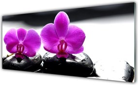 Szkło do Kuchni na Ścianę Szlachetny Kwiat Orchidei