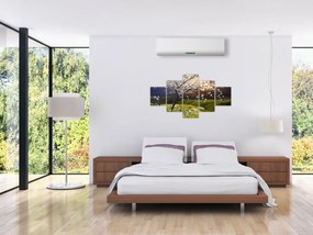 Obraz - Kwitnące drzewo w krajobrazie (125x70 cm)