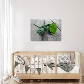 Obraz na szkle - Zielona róża (70x50 cm)