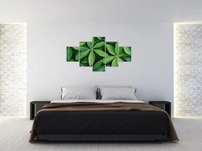 Obraz - Liście z kroplami rosy (125x70 cm)