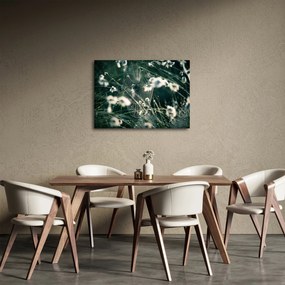 Obraz - Pajęczyna (70x50 cm)