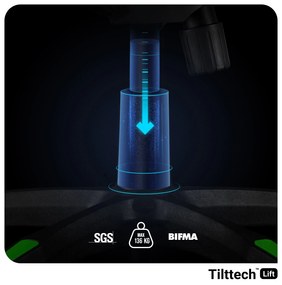 Fotel gamingowy Diablo X-One 2.0 Normal Size, czarno-zielony