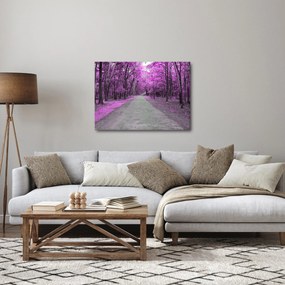 Obraz - Ścieżka przez park (70x50 cm)