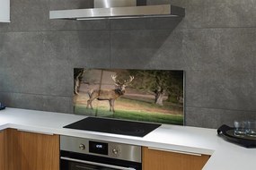 Panel nad Blat Kuchenny Spokój Jelenia na Polanie