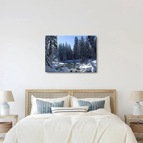 Obraz śnieżnego lasu (70x50 cm)
