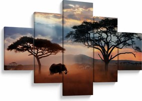 Obraz - Park Narodowy Serengeti, Tanzania, Afryka (125x70 cm)