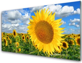 Panel Szklany do Kuchni Złoty Słonecznik pod Niebem