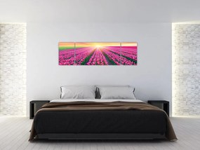Obraz pole tulipanów ze słońcem (170x50 cm)